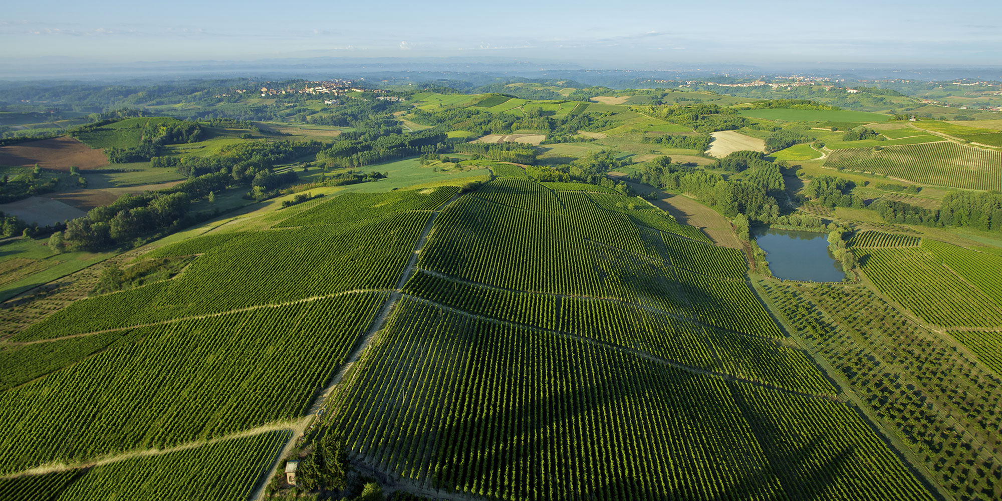 montalbera vini